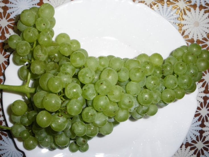 uvas laura