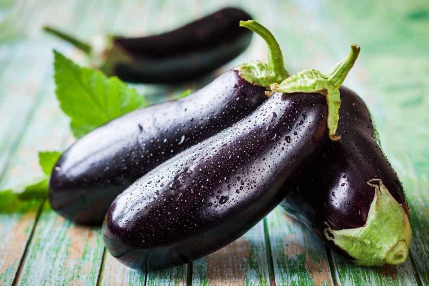 ripe eggplant