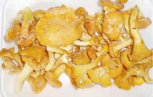 The best recipes on how to properly freeze chanterelles fresh for the winter at home