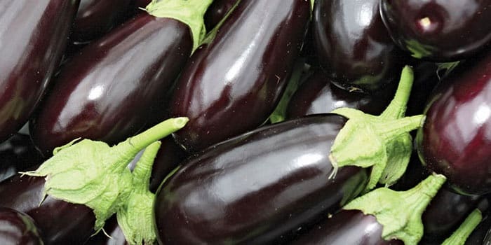 a lot of eggplant