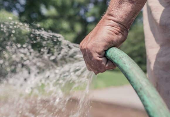 watering the apple tree