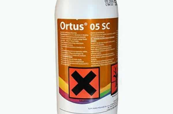 drug orthus