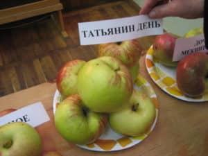 Description de la variété de pomme Tatyanin den, caractéristiques de rendement et régions de croissance