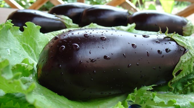 aubergines et légumes verts