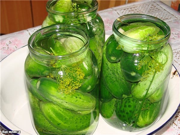 cucumbers with herbs in a jar