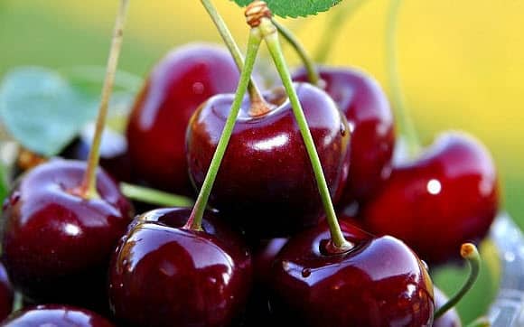 ripe cherry