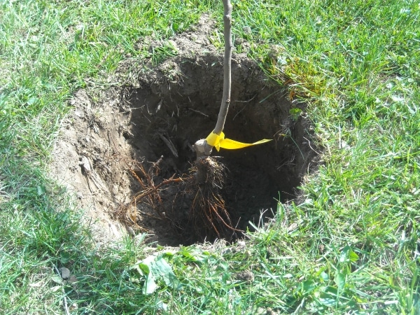 dug hole