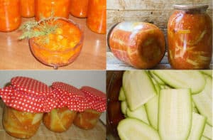 TOP 10 stap-voor-stap recepten voor courgette snacks voor de winter Schoonmoeder met tomatenpuree