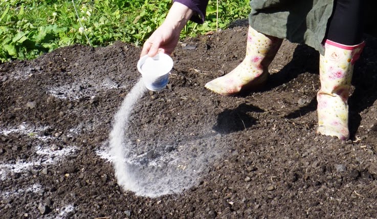 fertilización del suelo