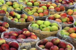 Cómo mantener las manzanas frescas para el invierno en casa.