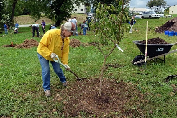 ensure fruiting