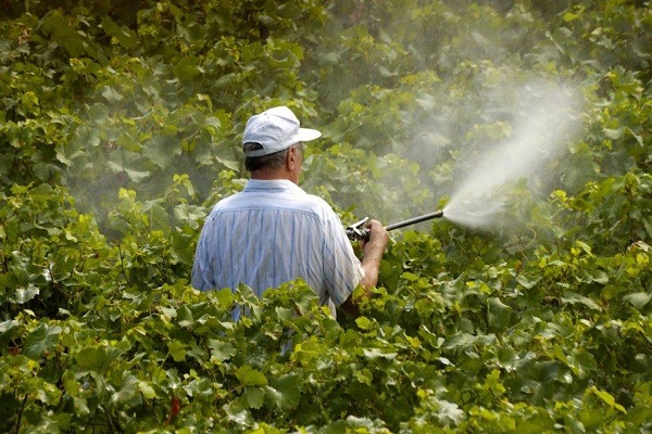 hombre trabajando