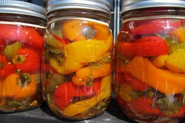 pickled bulgarian