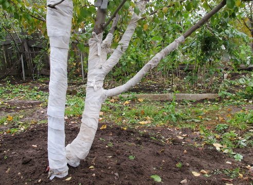 se préparer pour l'hiver