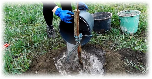 watering cherries