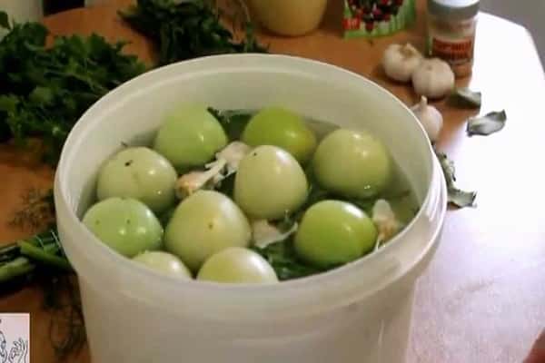 cubo de tomate