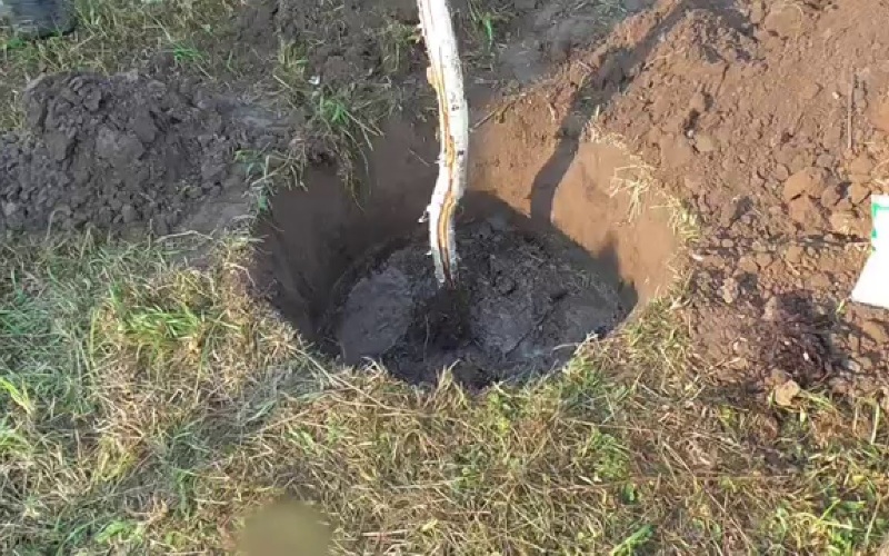 dug hole