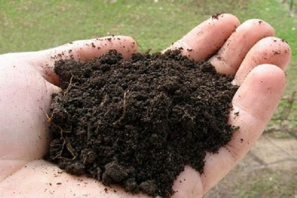 soil composition