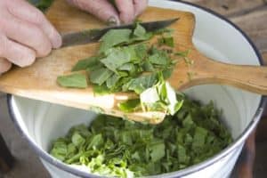 Cómo preparar y mantener la acedera fresca y sabrosa en casa para el invierno.