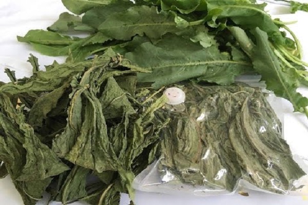 drying herbs