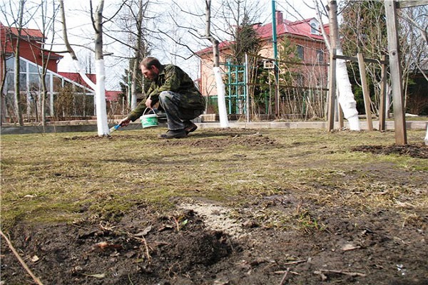 ruokinta ja kastelu