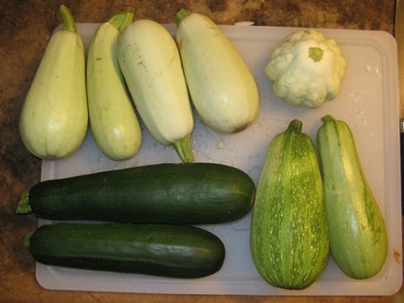 fresh zucchini