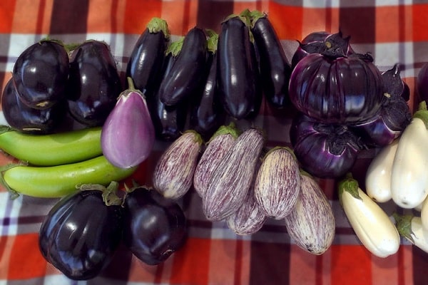 préparation d'aubergines