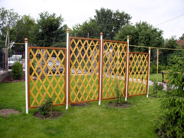 trellis for grapes