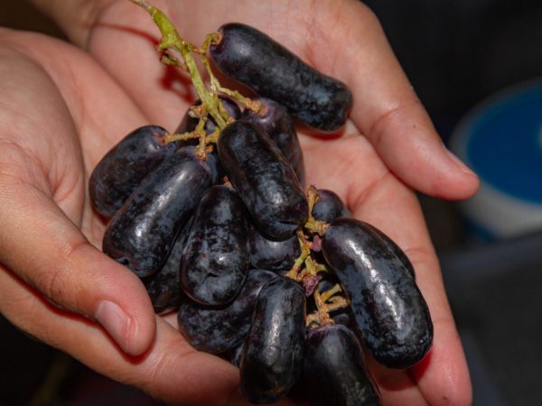 las uvas son geniales en la mano