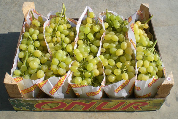 uvas en bolsas