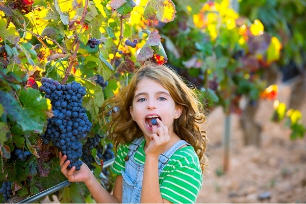 niña comiendo