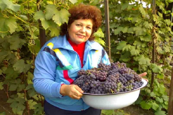 bowl of grapes