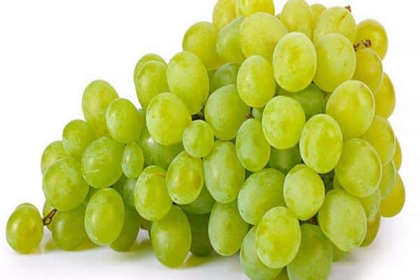 grape sort