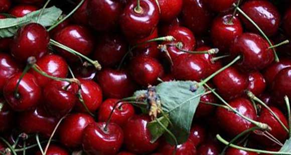 fresh cherry