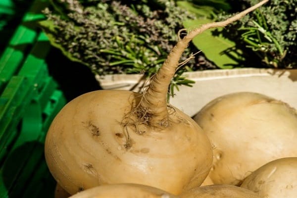 hygiène du jardin