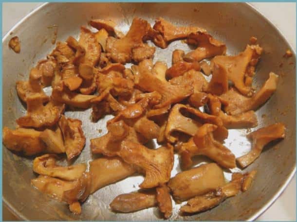 fried chanterelles