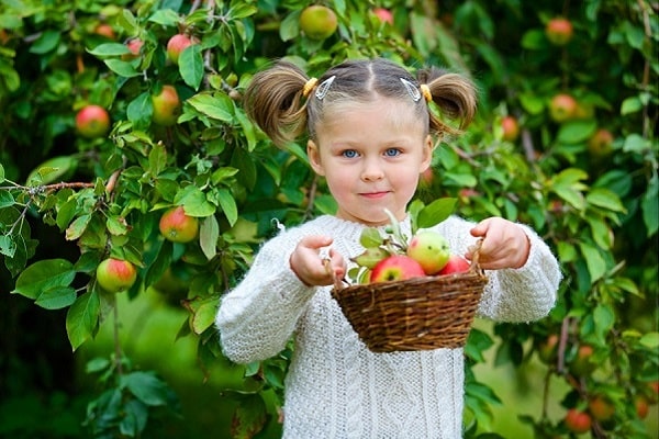 fille aux pommes