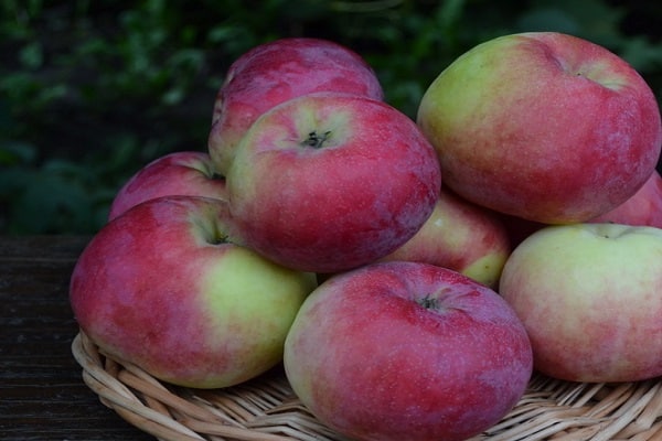 porter des plants de fruits