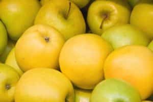 Descripción y características principales de la variedad de manzana otoño-invierno Limonka.