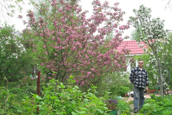 homme dans le jardin