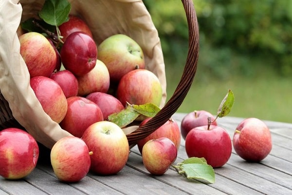 harvest volume