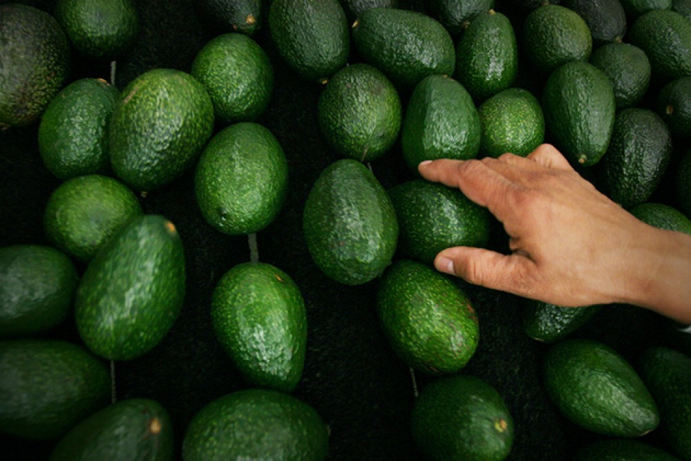 ripe avocado