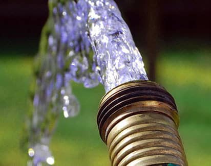 watering grapes