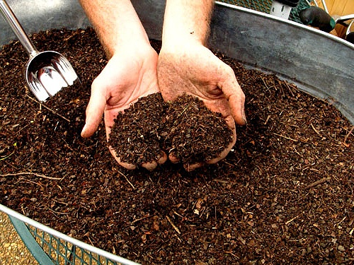 fertilizer for grapes