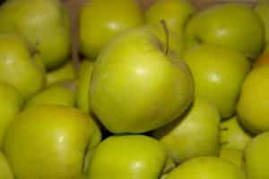 Description et variétés de pommes Golden Delicious, règles de culture et d'entretien