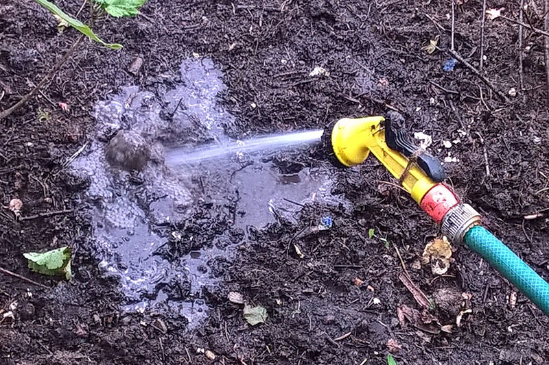 watering the apple tree