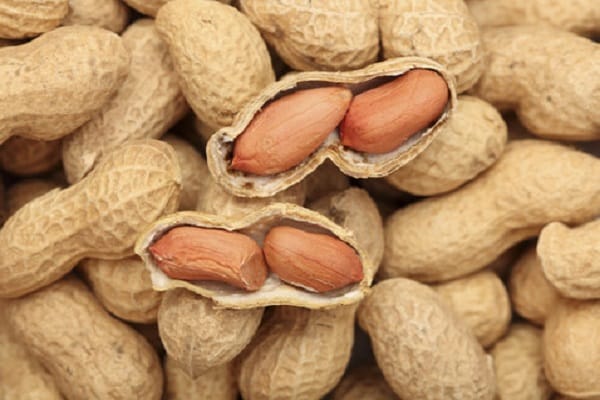 peanuts in shell