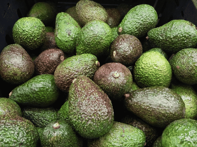 aguacate verde