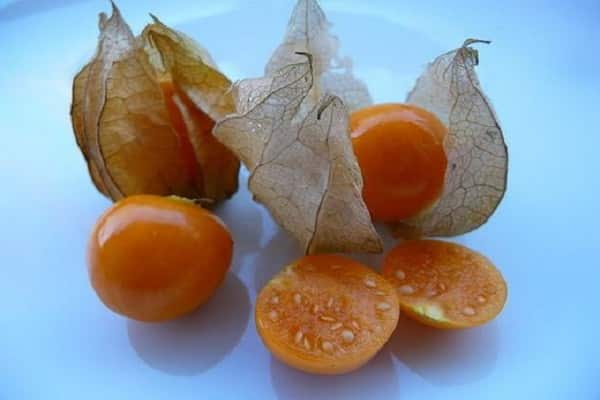 ressemble à une tomate