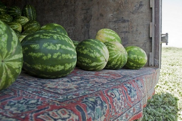 cargando verduras